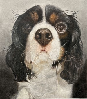 Wilson